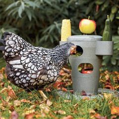 Snacktårn Til Høns Genbrugsplast (2)