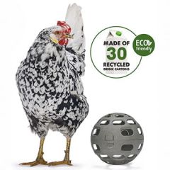 Snackbold Til Høns Genbrugsplast (1)