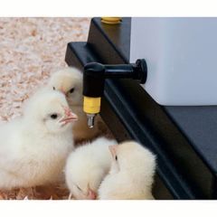 Kyllingedrikkeautomat med nippel 1 liter (2)