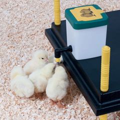 Kyllingedrikkeautomat med nippel 1 liter (1)