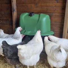 Fjerkrævander Wise Drinker 12 Liter (2)