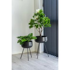 House Nordic Ardola Blomsterstander 2 stk, Sort (4)
