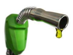 Benzin ( Forbrug på lejet maskine ) (1)